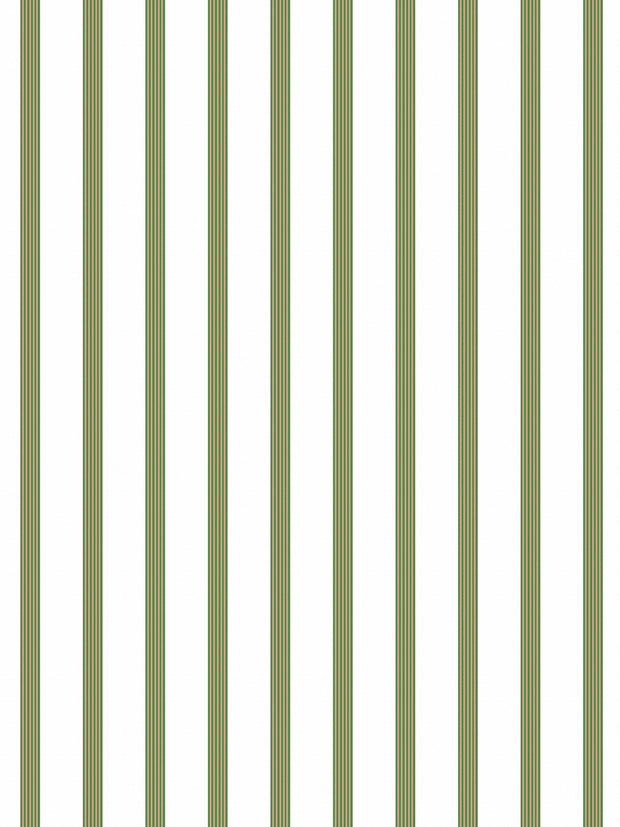 Olive - F