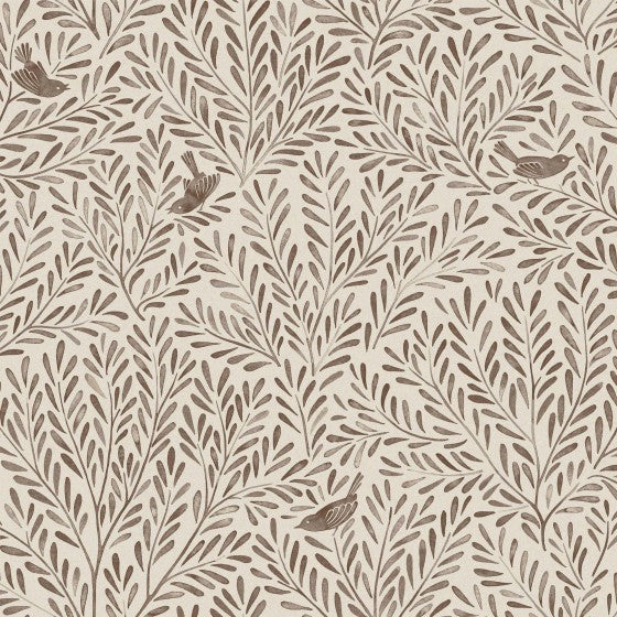 Cassia Bark - F