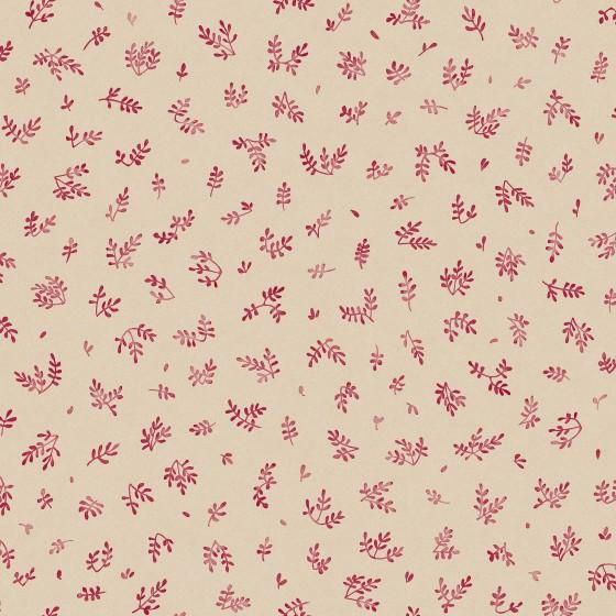 Fuschia - WP
