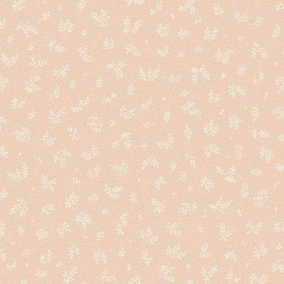 Parasol - WP
