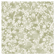 Haru Green - WP