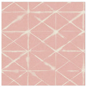 Coral Pink - WP