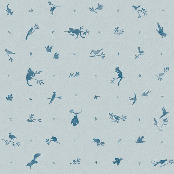 Blue Yonder - F