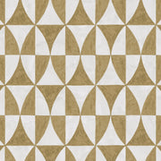 Kelp - WP