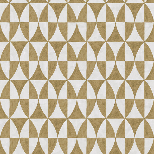 Kelp - WP